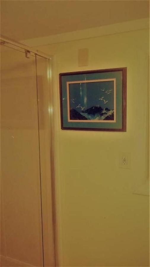 Cheap East Knoxville Basement Studio 外观 照片